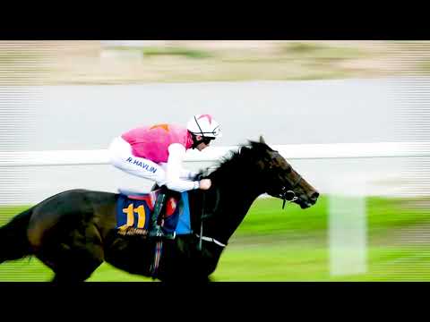 Stockholm Cup, September 20 at Bro Park