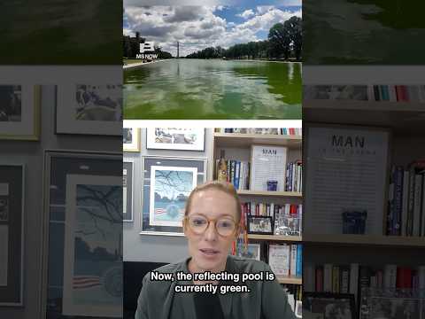 Trump’s multi-million dollar reflecting swamp