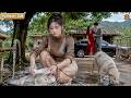 Husband Looks Down On Devoted Wife, Chooses Mistress Then Regrets Losing Her Forever