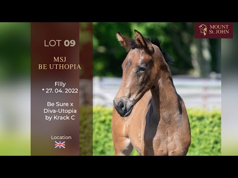 FOALS ONLINE AUCTION Lot 09 MSJ Be Utopia Filly Be Sure x Diva Utopia by Krack C