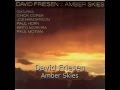 David Friesen - Amber Skies