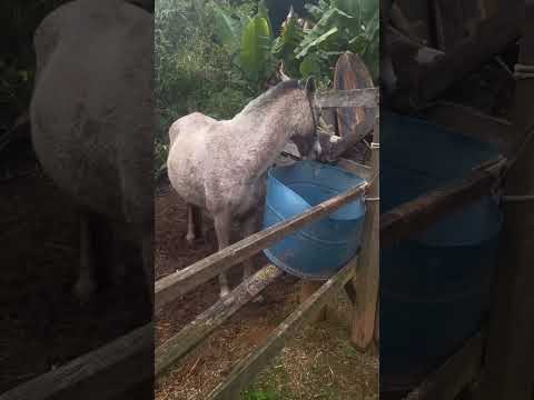 Hoje foi dia de atendimento em São Luiz Do Paraitinga