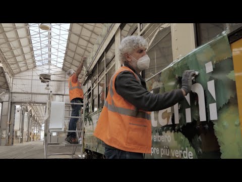 IGPDecaux - Media Partner Forestami