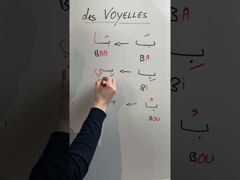 Les voyelles long en arabe