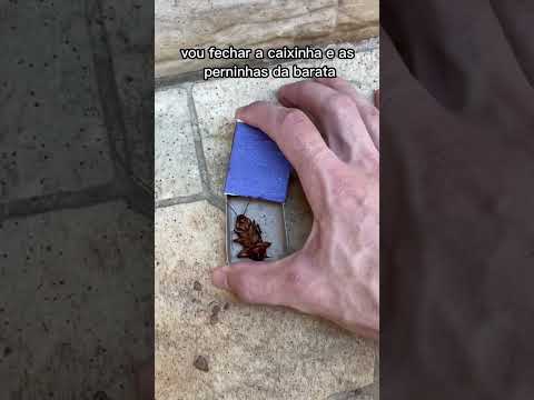 Acho que você nunca tinha visto isso antes!😱 #shorts