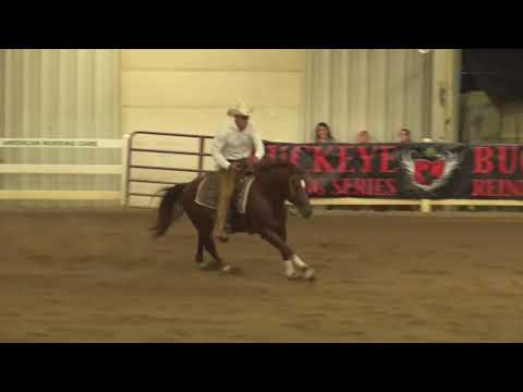 170819 Rick Weaver Spook Royale Open Futurity