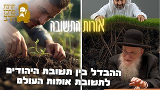 הרב יהושע מגנס | אורות התשובה | ההבדל בין תשובת היהודים לתשובת אומות העולם | י"ח שבט תשפ"ו (ישיבת מרכז הרב) - התמונה מוצגת ישירות מתוך אתר האינטרנט יוטיוב. זכויות היוצרים בתמונה שייכות ליוצרה. קישור קרדיט למקור התוכן נמצא בתוך דף הסרטון