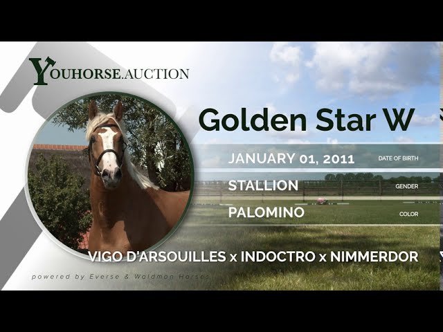 Golden Star W