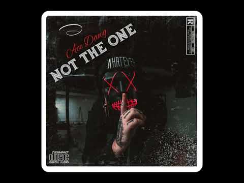 Ace Dawg - Not The One
