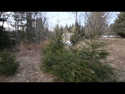 Vadu Dobrii Unitatea militară secreta