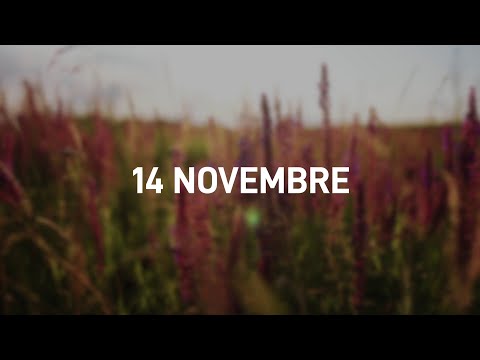 14 Novembre 2025 | Meditazione Parole di Vita