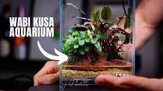 Wabi Kusa Aquarium - DOOA Neo Glass Air 15x15x25