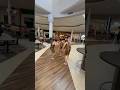 I Call It A Mall Rhymes With Grug Thecroods Croods Grug Prank Memes Funny Cosplay Trex