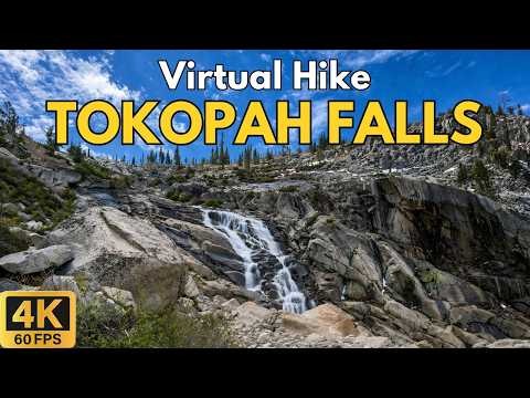 Tokopah Falls 4K POV Hike | Waterfall Trail | Sequoia National Park | Treadmill Walk