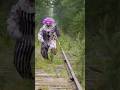 Hugz the Clown Chases us on Abandoned Rail Road Tracks