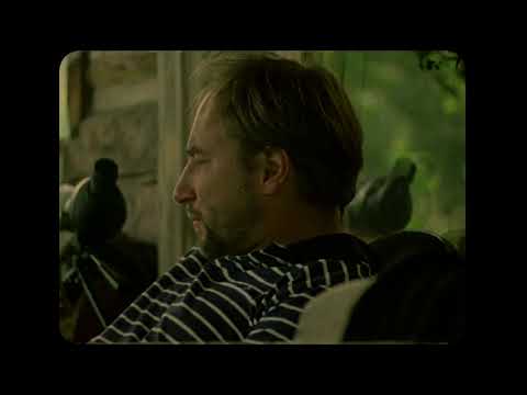 Play Video Youtube Video