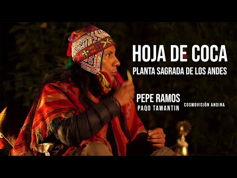 Hoja de COCA la planta sagrada