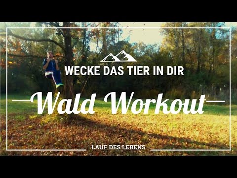 Wald Workout | Wecke das Tier in dir