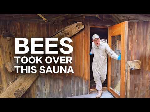 The Hottest Bee Removal We’ve EVER Done 🔥 (Literally)