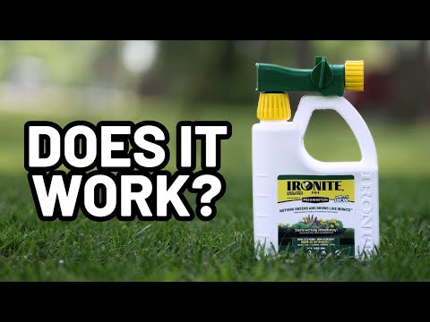 TESTED: Liquid Ironite for Dark Green Grass in 24 hours?