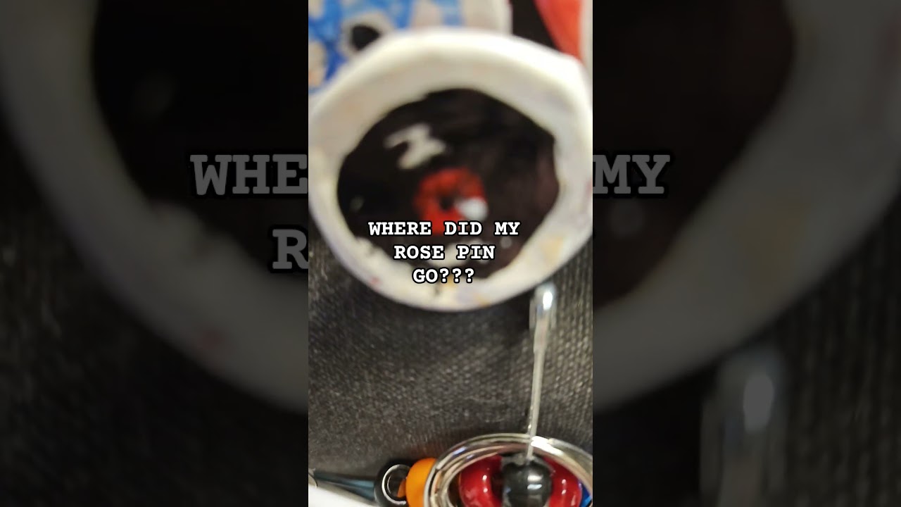 WHERE IS MY ROSE PIN?? #homestuck #fyp #idkwhattoputhere #meow