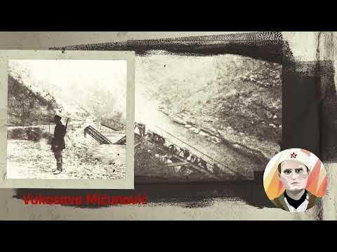 Vukosava Mićunović (English subtitle)