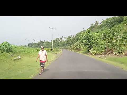 Solosolo Village: Virtual Driving Tours of Samoa