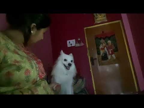 Cutest conversation of us