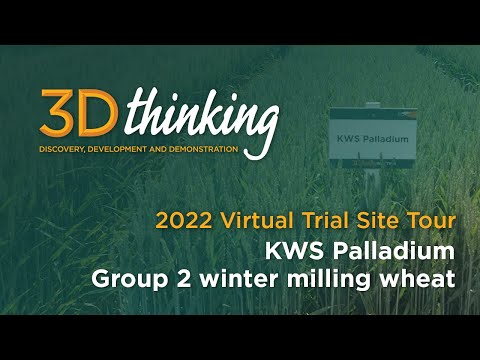 KWS Palladium - 3D Thinking | 2022 virtual trial site tour