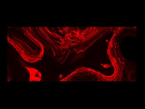 MEDIČI x XAJDEF - Stanje Uma