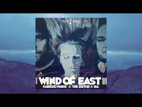 Fabrizio Parisi & The Editor x Dia - The Wood