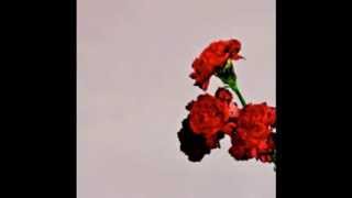 John Legend- Who do we think we are