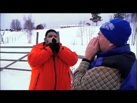 zo:RAYMANN 2012 - Groeten uit Zweden / elandenboerderij