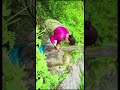 Dyo Lagi Shorts Dyolagi Pahadi