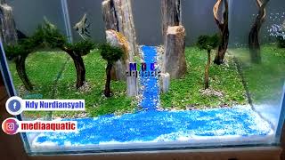 Tutorial Aquascape Batu Fosil Pemula