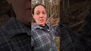 Mornin’ Y’all! 💛