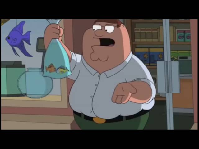 Family Guy Funny Clip - Saving salt water tropical fish