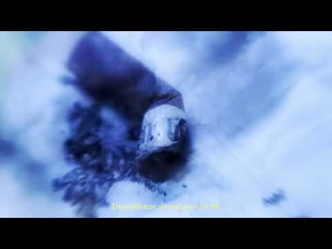 Léon X TeiTei - ADDICTED (Visual Video)