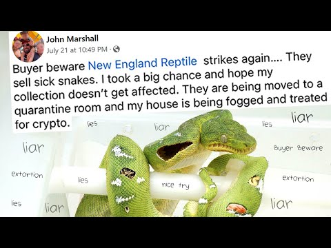 Apparently Our Snake Collection Has Cryptosporidiosis? ( bad customer )