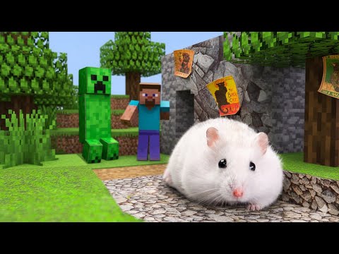 Captain Fiddles Vs Hamsterious In Garten Of Banban | Hamster Escape Challenges