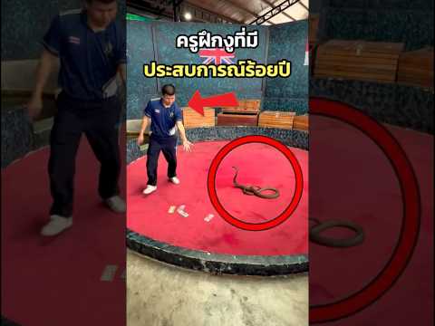 คนฝึกงูที่ฝึกงูได้ทุกสายพันธุ์บนโลก!!😱😂🤯