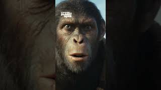 Kingdom of the Planet of the Apes | May 10