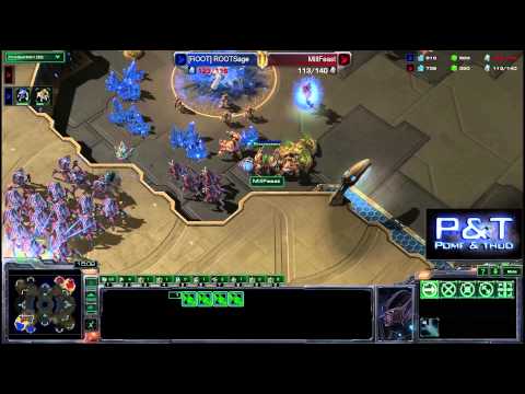 (HD694) Sage vs Feast - PvP - Heart of the Swarm [FR]