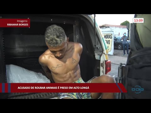 Acusado de roubar animais é preso em Alto Longá 15 07 2022