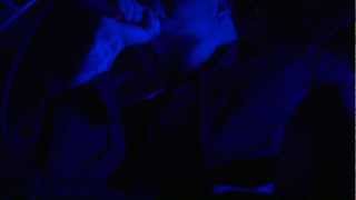 Chimaira - Destroy And Dominate (LIVE)