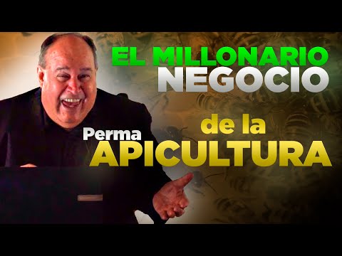 Pt. 2| ¿YA NO ES RENTABLE LA APICULTURA? ¡PRUEBA CON PERMAPICULTURA! - Curso Comp. OSCAR PERONE 2023