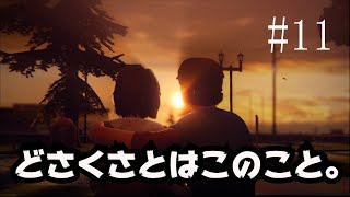 【ライフイズストレンジ】信じられるのは犬だけ#11【実況プレイ】【2人実況】