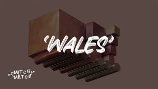 kota the friend - wales (audio)