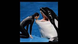 Download lagu A Thousand Years by Christina Perri lyrics 🎶🎧 #athousandyears #christinaperri #lyrics ##music mp3