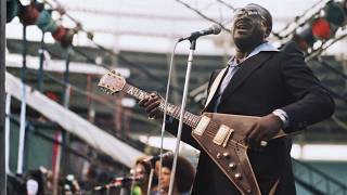 Albert King, Mick Taylor and John Mayall &amp; the Bluesbreakers - Born Under a Bad Sign (Live 1982)